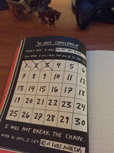 Steal Journal 30 day